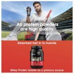 Optimum Nutrition Gold Standard 100% Whey Protein 2Lbs - Image 3